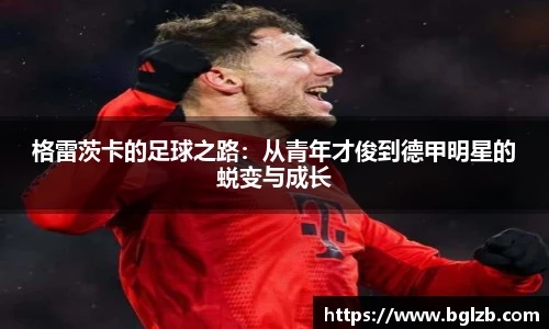 格雷茨卡的足球之路：从青年才俊到德甲明星的蜕变与成长