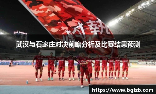 武汉与石家庄对决前瞻分析及比赛结果预测